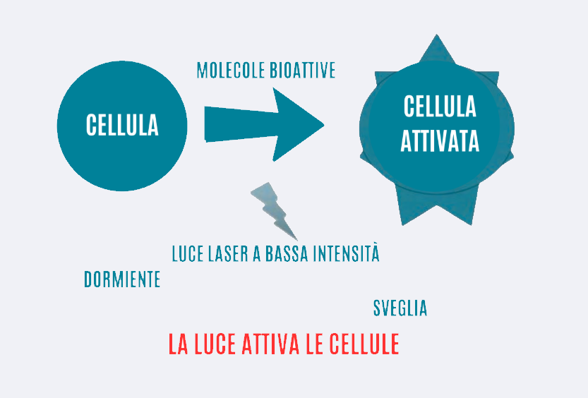 Fotoattivazione cellulare in laserterapia